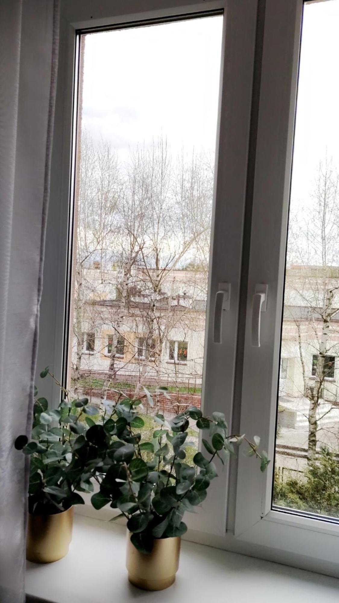 Sloneczny Widok